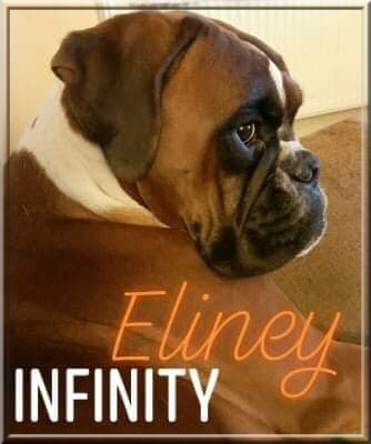 Eliney